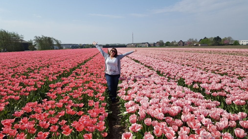 A person standing in a field of red and pink flowers
